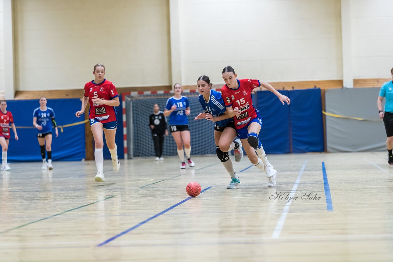 Bild 120 - wBJ TSV Ellerau - HSG Schue/We/Re : Ergebnis: 23:15
